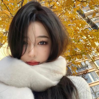 第19分部